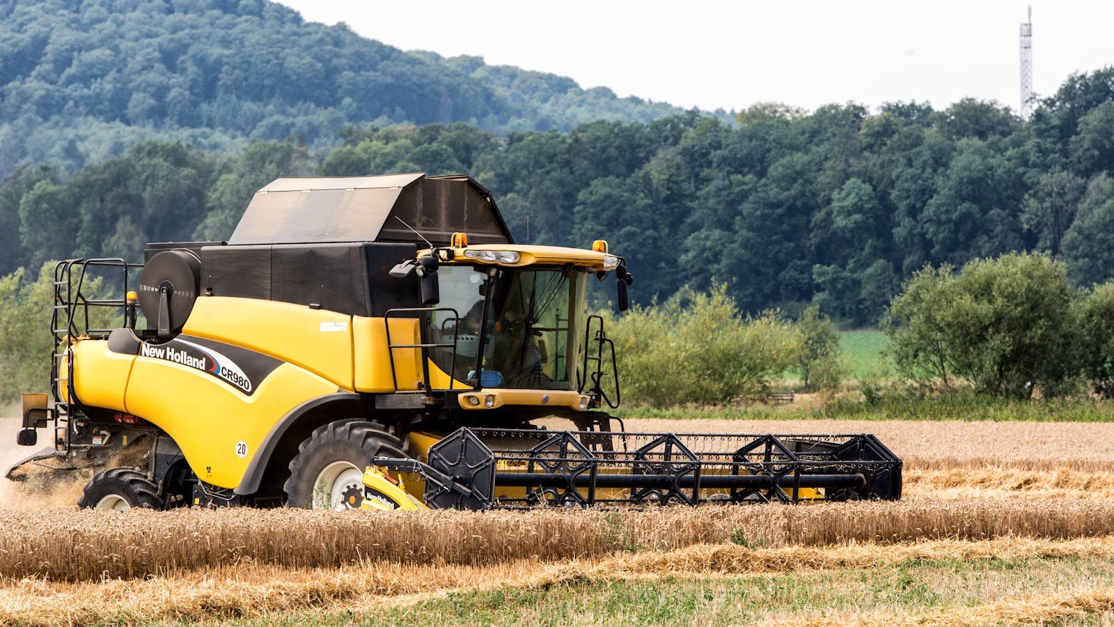 Colheitadeira New Holland em operação de colheita